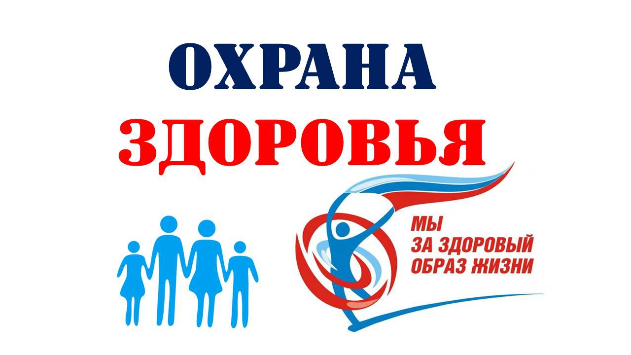 Организация охраны и здоровья Организация охраны и здоровья